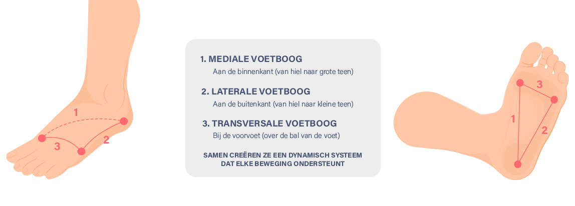 De 3 voetbogen - uitleg - Skystep 01